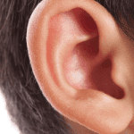 ACG-Human ear closeup